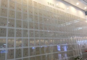 華為參觀學(xué)習(xí)啟示 財(cái)務(wù)與業(yè)務(wù)的戰(zhàn)略協(xié)同及物聯(lián)網(wǎng)技術(shù)研發(fā)的引擎作用